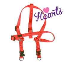 Adjustable Step-N-Harness - 5/8" width (Dogs) & 1/2" width (Puppies) HEARTS