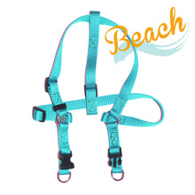 Adjustable Step-N-Harness Harness - 1" width (Dogs) BEACH