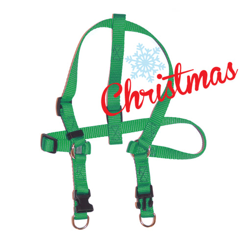 Adjustable Step-N-Harness Harness - 1