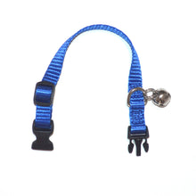 Adjustable Collar with Bell - 1/2" width (Ferrets)